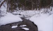 Excursión A pie okres Spišská Nová Ves - Náučný chodník Prielom Hornádu - Photo 5