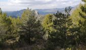 Trail Walking Buis-les-Baronnies - le saint julien - Photo 1