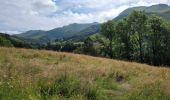 Tocht Stappen Saint-Jacques-des-Blats - Plomb du Cantal par les Gardes et retour Devezou n# 2 - Photo 9