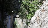 Tour Wandern La Palud-sur-Verdon - Chemin Martel  - Photo 14