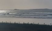 Trail Walking Plouharnel - PR_56_Plouharnel_CA_03_Entre-Baie-Et-Ocean_Circuit4a_20241025 - Photo 2