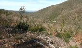 Trail Walking Pignans - ND des Anges-Pignans-17-03-23 - Photo 3