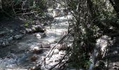 Randonnée Marche Nyons - Montagne de Vaux - Photo 2