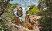 Tour Wandern Bormes-les-Mimosas - TOULON / BORMES LES MIMOSAS: LA LONDE - Photo 10