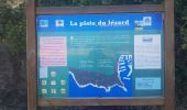Excursión Senderismo Carry-le-Rouet - L'Estaque - Le Sentier du Lézard  - Photo 5