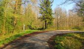 Randonnée Marche Saint-Crépin-aux-Bois - en forêt de Laigue_3_07_2019_La Malmère_Les Croisettes_Monts du Rond Buisson et des Châtillons - Photo 1