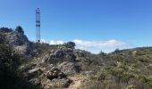 Tour Wandern La Garde-Freinet - Fort Freinet et les roches blanches - Photo 11