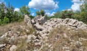 Trail Walking Saint-Paul-le-Jeune - Sentier des dolmens - Photo 1