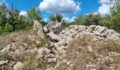 Percorso Marcia Saint-Paul-le-Jeune - Sentier des dolmens - Photo 1