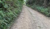 Trail  Ninove - 20230911 Outer 6 km - Photo 13