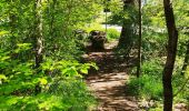 Randonnée Marche Malmedy - Les deux rochers  - Photo 6