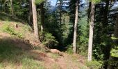 Trail Walking Taintrux - Marche 25-05-22 18Km Climont  - Photo 8