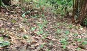 Trail Walking Chone - Cacao área del poso - Photo 1