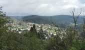 Trail Walking La Forge - La roche des corbeaux, La Forge  - Photo 3