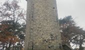 Tocht Noords wandelen Fontainebleau - Croix Toulouse - Photo 2