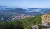 Tour Wandern Lagrasse - Lagrasse - Photo 5