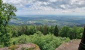 Randonnée Marche Saint-Nabor - ARCA NIEDERSMUNSTER MT STE ODILE - Photo 8