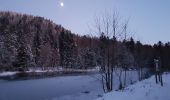 Randonnée Marche Lepuix - Ballon d'Alsace - rando raquettes Etang du Petit-Haut - Ballon d'Alsace - Etang des Roseaux - Cascade du Rummel - Photo 4