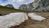 Randonnée Marche La Chapelle-d'Abondance - CORNETTES DE BISE: LAC DE DARBON - Photo 5