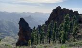 Tour Wandern Tejeda - Cuevas del Caballero (Gran Canaria) - Photo 14