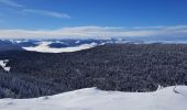 Randonnée Marche Corrençon-en-Vercors - Château Julien  - Photo 2