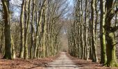 Tour Zu Fuß Ede - Oud Reemst - Geel - Photo 10