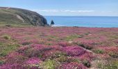 Randonnée Marche Camaret-sur-Mer - Camaret - Photo 15