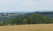 Tour Wandern Eupen - 20220627 - Barrage Eupen 7.6 Km - Photo 8