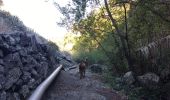 Trail Walking Alajeró - Pajarito - Hermigua (Ibo Alfaro) - Photo 10