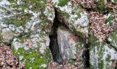 Tour Wandern Pourrières - Pourrieres le pain de munition  - Photo 1