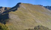 Tour Wandern Omblèze - Plateau d'Ambel (le tour) - Photo 8