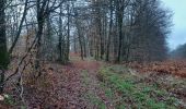 Randonnée Marche Bulgnéville - PR3 Bigneville étang des récollets . Contrexeville lac de conge - Photo 11