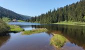 Tocht Stappen La Bresse - lacs et tourbières de Tenine et Lispach  - Photo 2