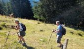 Trail Walking La Roche-sur-Foron - GLIERES / BORNES: COL DU COU - CHALET DE BALME - Photo 3
