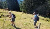 Randonnée Marche La Roche-sur-Foron - GLIERES / BORNES: COL DU COU - CHALET DE BALME - Photo 3