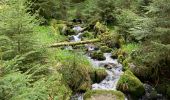 Excursión  Gérardmer - Bourrique, tour et cascade de Merelle - Photo 2