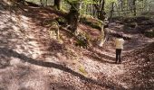 Tocht Stappen Belœil - bois stambruges - Photo 2