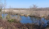 Trail Walking Monétay-sur-Allier - la boire de Monetay + l Trail Walking Monétay-sur-Allier - la boire de Monetay + l