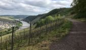 Tour Wandern Leiwen - Zummeterhof 19 km - Photo 20