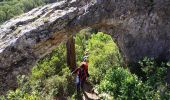 Trail Walking Saint-Rémy-de-Provence - St Rémy de Provence  - Photo 14