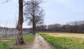 Trail Walking Sint-Truiden - Promenade dans le domaine provincial 