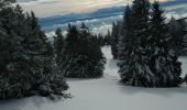 Trail Snowshoes Sainte-Croix - Col des Etroits Le Chasseron CAF - Photo 17