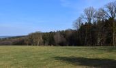 Tocht Stappen Stoumont - 20250309 - TOTEMUS RAHIER - - Photo 6