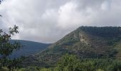 Trail Walking Lauroux - les corniches de Lauroux - Photo 20