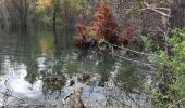 Tour Wandern Saint-Marc-Jaumegarde - Tour de Bimont 10-10-2021 - Photo 3