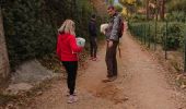 Tour Wandern Vidauban - l'aille - Photo 2