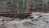 Trail Walking Malmedy - Cascade de Bayehon  - Photo 8