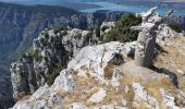 Trail Walking La Palud-sur-Verdon - 2020 08 19 Trigance  - Photo 4