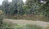 Tocht Stappen Nègrepelisse - Le long de l'Aveyron  - Photo 4