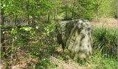 Tocht Mountainbike Pont-Sainte-Maxence - ot 6 octobre 24 - Photo 3
